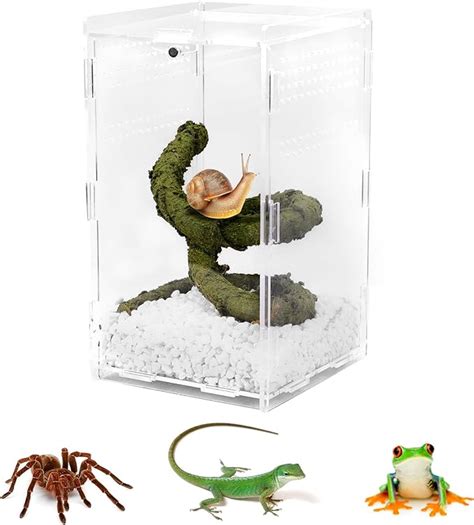 Amazon U0U Jumping Spider Enclosure 4 X 4 X 8 Acrylic Reptile