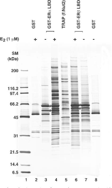 Figure 1 From The Trapmediator Coactivator Complex Interacts Directly