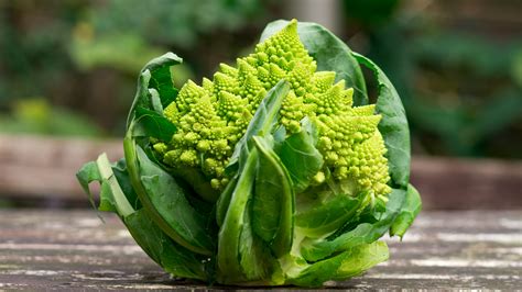 Romanesco So Kocht Man Ihn Richtig Der Bio Koch