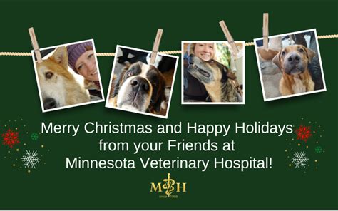 Merry Christmas And Happy Holidays From Your Friends At Minnesota