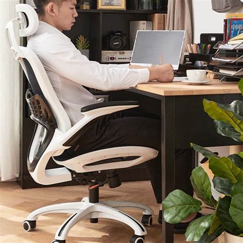 Reclining Office Ergonomic Office Chair with Lumbar Support Height Adjustable Headrest