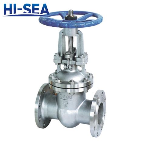 Class 300 Gate Valve