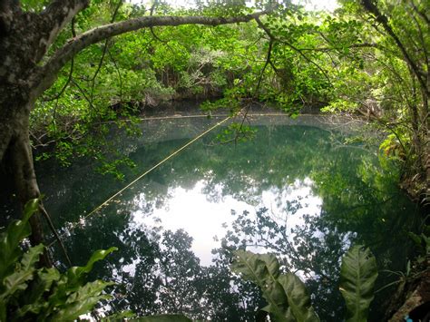 Miracle of Nature: Cenote Angelita - Underwater River in Mexico ...