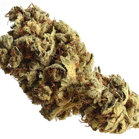 Pineapple Kush - Strain Information - CannaConnection