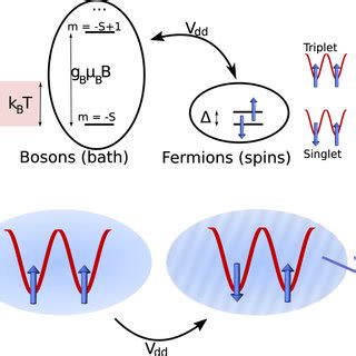 Spin Cooling Mechanism A The Spin Chain Is Composed Of Fermions