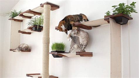 19 Modern Cat Trees to Buy Immediately | The Dog People by Rover.com