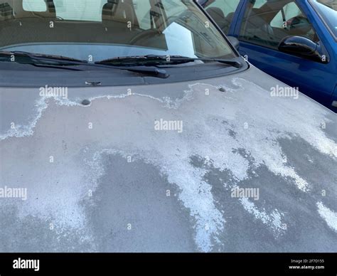 Acid Rain Damage On Cars