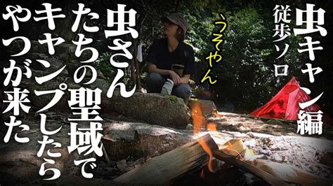 【閲覧注意】虫さんたちに囲まれて、夏【アラフォー女バックパックで徒歩ソロキャンプ】 キャンプ動画まとめ