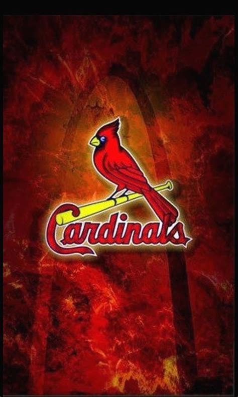 Share Cardinals Wallpaper Baseball Best In Cdgdbentre