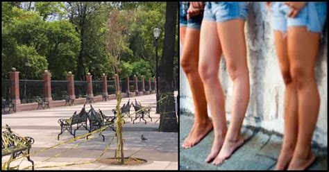 Queretaro Sex Workers Continue To Offer Services Around Alameda Hidalgo The Queretaro Post