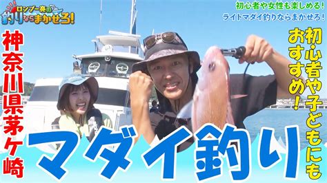 釣って楽しい、食べて美味しい！みんなの憧れ「マダイ」をライトタックルでロンブー亮が狙う！【ロンブー亮の釣りまか155】 Videos