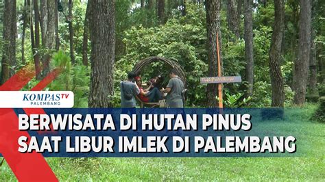 Berwisata Di Hutan Pinus Saat Libur Imlek Di Palembang YouTube