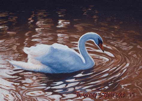 Mini Blue Swan Painting Bird Art Realistic Wildlife