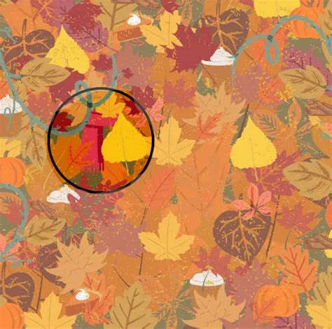 Its An Optical Illusion Find The Scarf Among The Leaves And Pumpkin