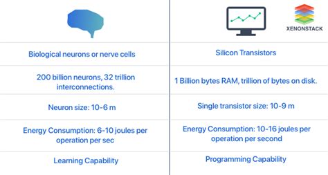 Find Out Artificial Neural Networks Applications And Algorithms