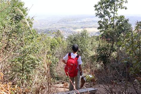 「多度山」は愛犬とも登れる登山初心者におすすめの山！駐車場やおすすめコースをご紹介！ 取材レポート 観光三重 かんこうみえ