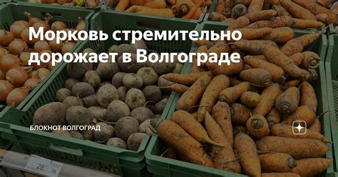Морковь стремительно дорожает в Волгограде | Блокнот Волгоград | Дзен