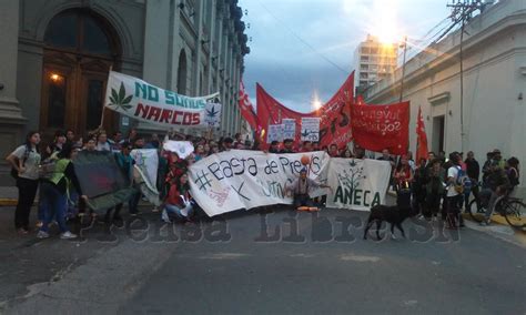 Nuevo Código Penal Despenaliza el consumo de drogas y el autocultivo