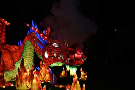 Fire Breathing Dragon by XLittleDoveX on DeviantArt