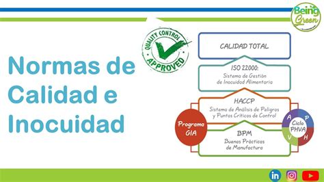 Sistemas De Inocuidad Y Calidad BPF HACCP ISO 22000 Video N 30