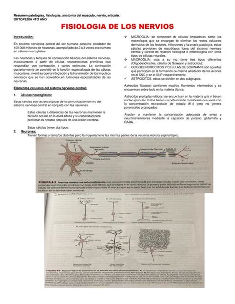 Patologías Muscular Articular y Nervios Ana Milena Villota uDocz