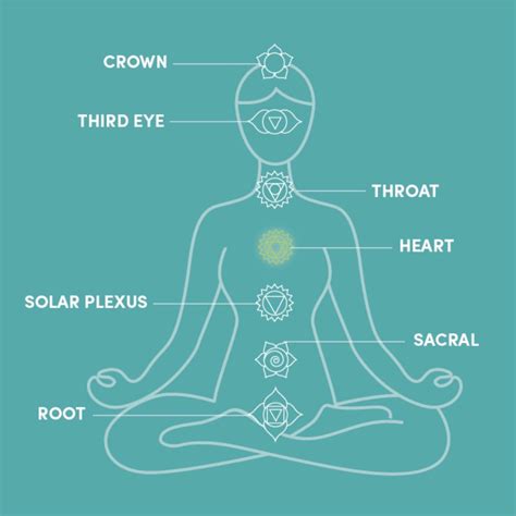 A Beginners Guide To The 7 Chakras Plexus Products Seven Chakras 7