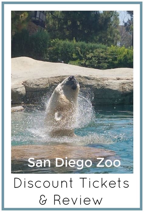 San Diego Zoo Tickets & Discount Tickets + Review of Our Visit! - Thrifty NW Mom