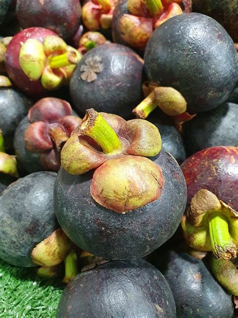 Fruit Thailand Mangosteen - Free photo on Pixabay - Pixabay