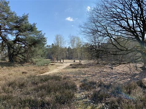 Das Nationale Naturerbe Hirschackerwald Wird Gepflegt Dr Andre Baumann