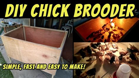 Diy Chick Brooder Low Cost Fast And Easy To Make Youtube