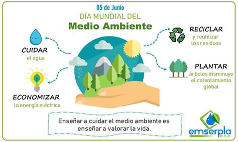 Enseñar a cuidar el medio ambiente es enseñar a valorar la vida