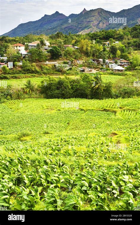 Philippines Mountain Village Stock Photo Alamy