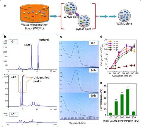 Screening And Characterization Of Target Yeast Strain C Tropicalis