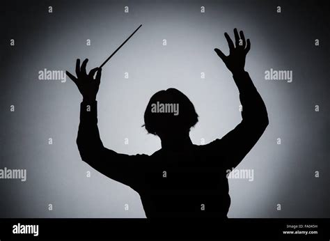 Funny conductor in musical concept Stock Photo - Alamy