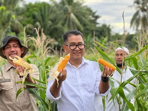 Pj Gubernur Sulbar Ajak Sekolah Dukung Merdeka Pangan 99news Id