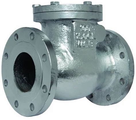 Flanged End Stainless Steel Check Valve Valve Size Mm Mm