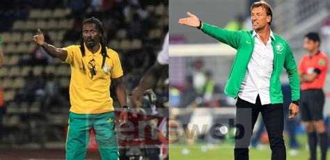 Succession De Aliou Cissé Pourquoi Hervé Renard A Retiré Sa