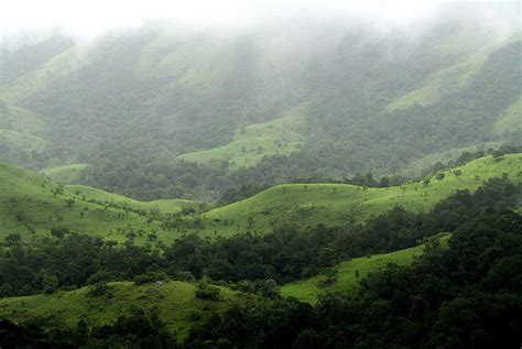 Kudremukh National Park, Karnataka - Trans India Travels