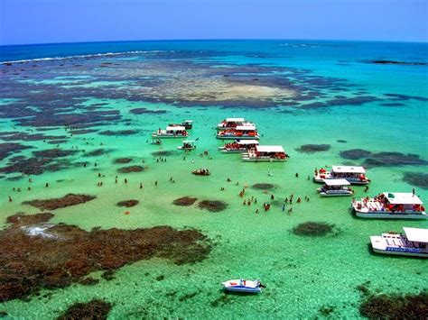 O Que Fazer Em Maragogi Caribe Brasileiro D D Mundo Afora