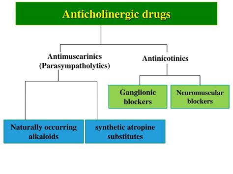 Ppt Anticholinergic Drugs Powerpoint Presentation Free Download Id