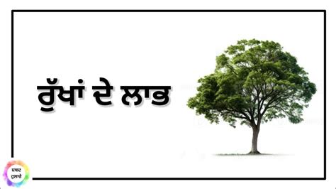 Ten Lines Essay On Trees Rukha De Laab By