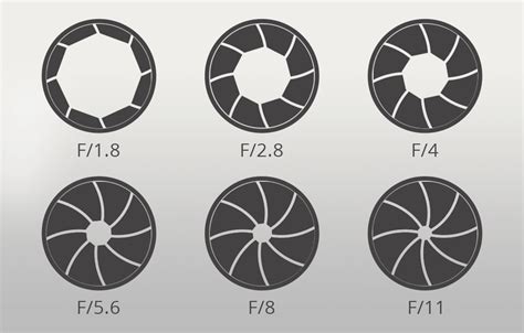 Aperture and Depth of Field – Focusing Basics