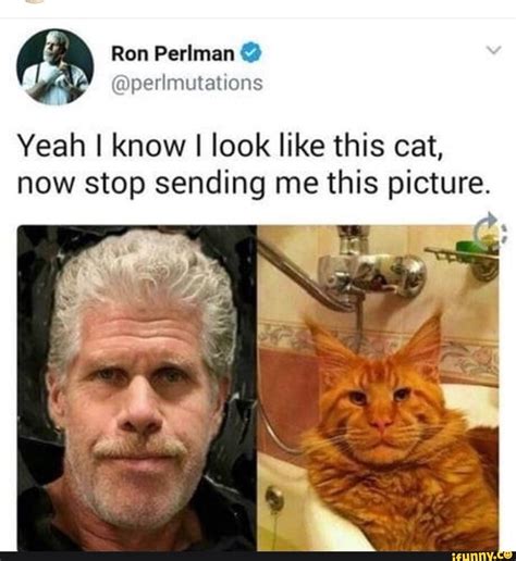 Ron Perlman @ @perlmutations Yeah I know I look like this cat, now stop ...