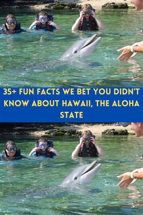 Fun Facts We Bet You Didn T Know About Hawaii The Aloha State Artofit