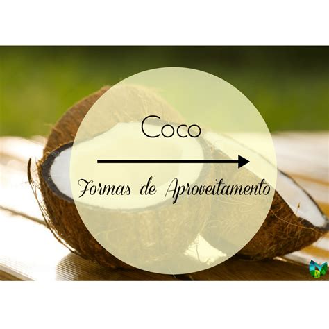 Como Se Utiliza O Coco Amazônia Magia