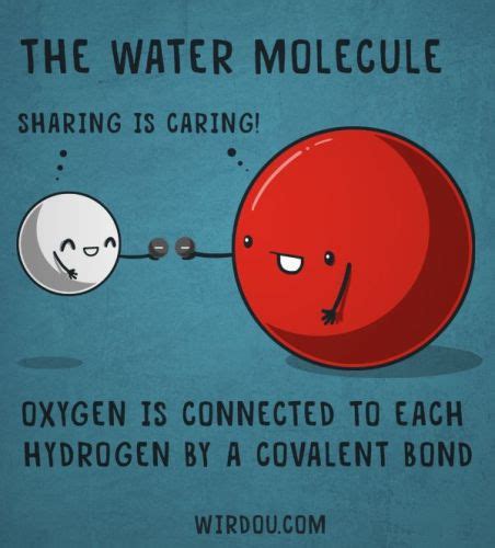 10 Facts about Covalent Bonds - Fact File