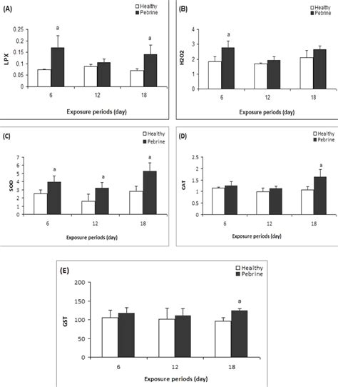 A Lipid Peroxidation Nmol Tbars Mg Protein B Total