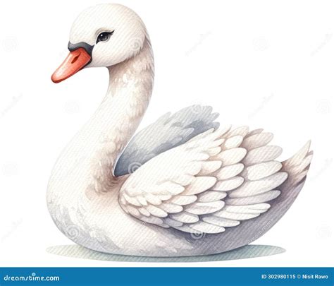 Acuarela Lindo Cisne Aislado En Fondo Transparente Stock De Ilustraci N