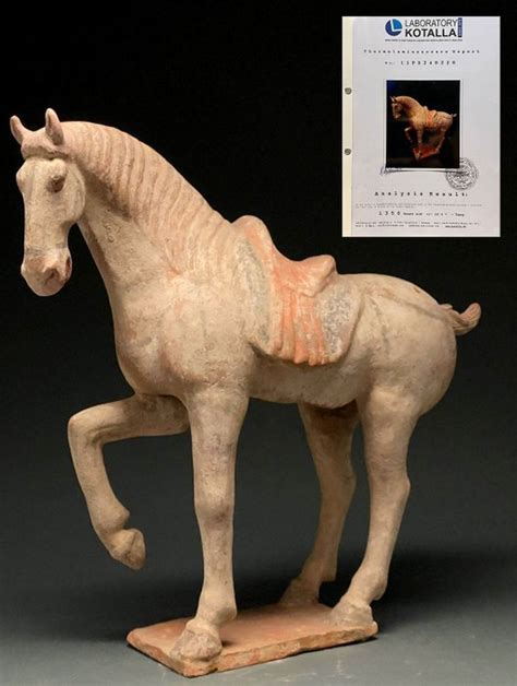 Dinastia Tang Cinese Antica Terracotta Cavallo Tl Testato Catawiki