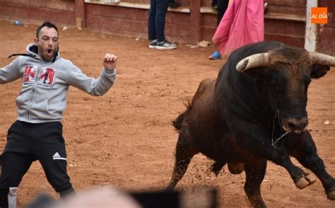 La Imponente Apariencia De Los Toros De Aldeanueva Causa Sensaci N En